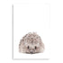 The adorable Animal Baby Hedgehog photo art print, available in an unframed poster print, stretched canvas or with a timber, white or black frame.
