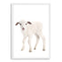 Featuring the animal Baby Lamb photo art print, available in an unframed poster print, stretched canvas or with a timber, white and black frames.