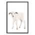 Featuring the cute animal Baby Lamb photo art print, available in an unframed poster print, stretched canvas or with a timber, white or black frame.