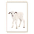 An animal Baby Lamb photo art print, available in an unframed poster print, stretched canvas or with a timber, white or black frame.