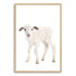 Featuring the adorable animal Baby Lamb photo art print, available in an unframed poster print, stretched canvas or with a timber, white or black frame.