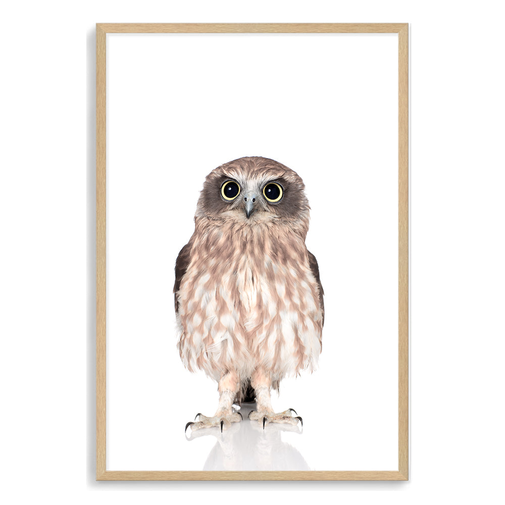 Featuring the cute animal Baby Owl photo art print, available in an unframed poster print, stretched canvas or with a timber, white or black frame.