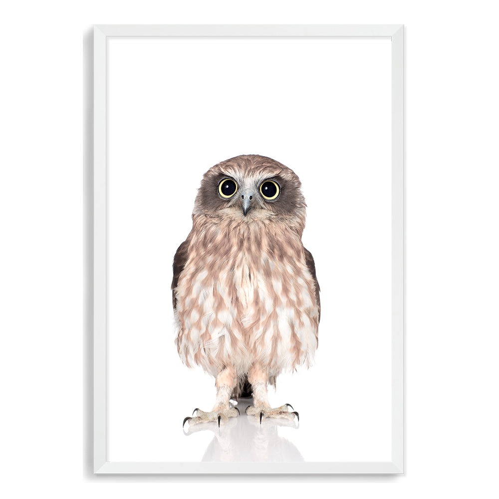 Featuring the animal Baby Owl photo art print, available in an unframed poster print, stretched canvas or with a timber, white and black frames.