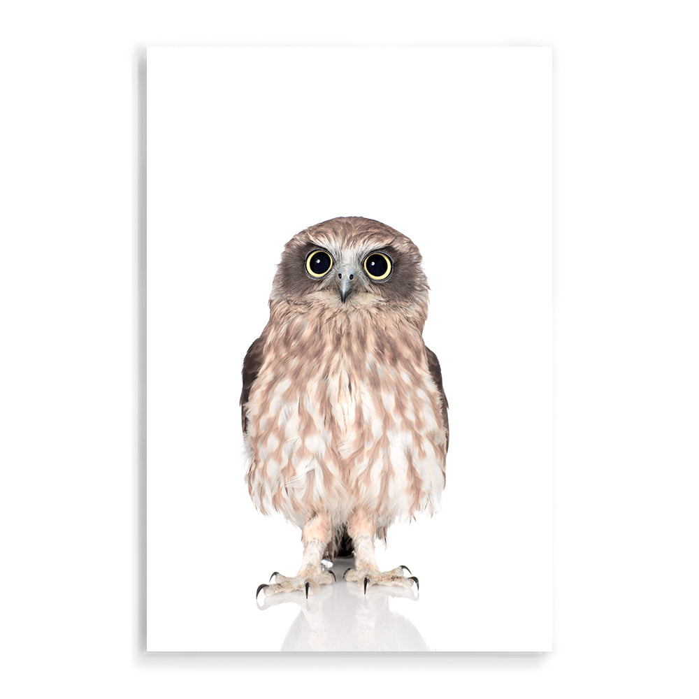 Featuring the animal Baby Owl photo art print, available in an unframed poster print, stretched canvas or with a timber, white or black frame. for your nursery