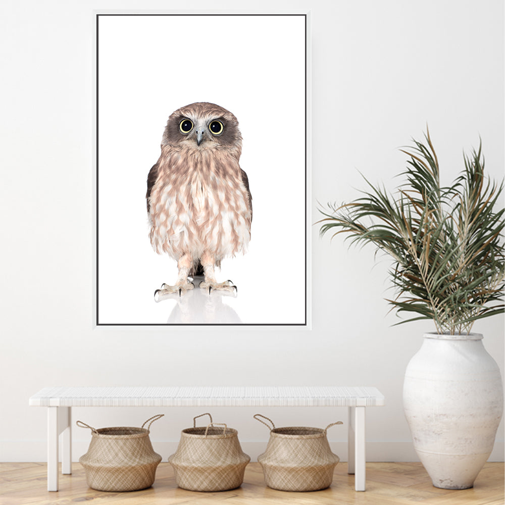 Featuring a stunning animal Baby Owl photo art print, available in an unframed poster print, stretched canvas or with a timber, white or black frame.