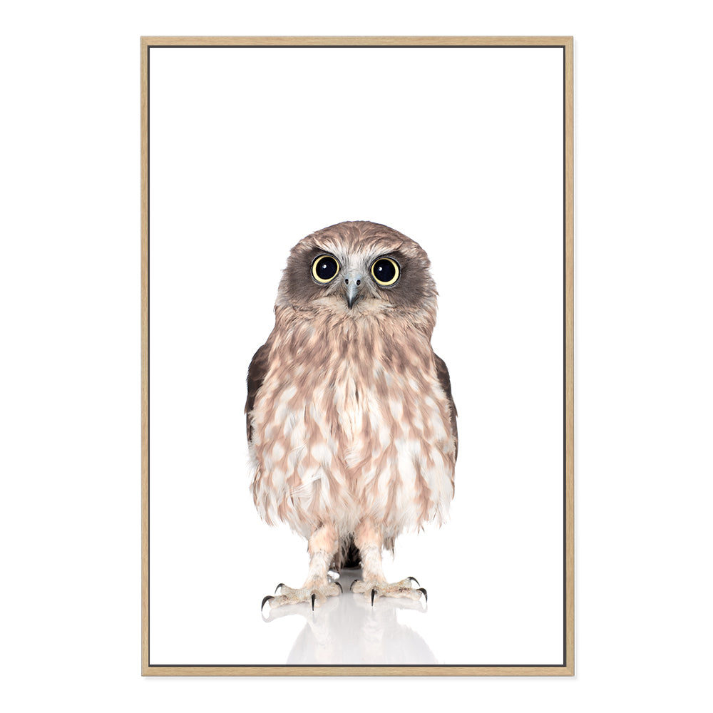 Perfect for your nursery, the animal Baby Owl photo art print, available in an unframed poster print, stretched canvas or with a timber, white or black frame.