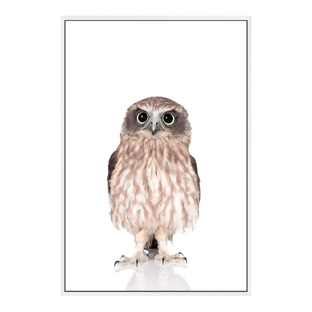 For your nursery, the cute animal Baby Owl photo art print, available in an unframed poster print, stretched canvas or with a timber, white or black frame.