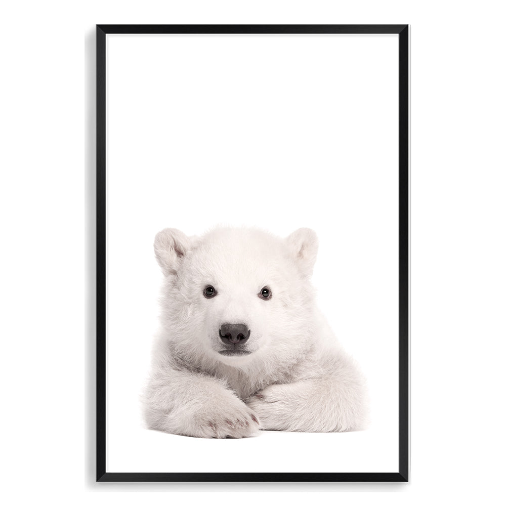 Featuring the adorable animal Baby Polar Bear photo art print, available in an unframed poster print, stretched canvas or with a timber, white or black frame.