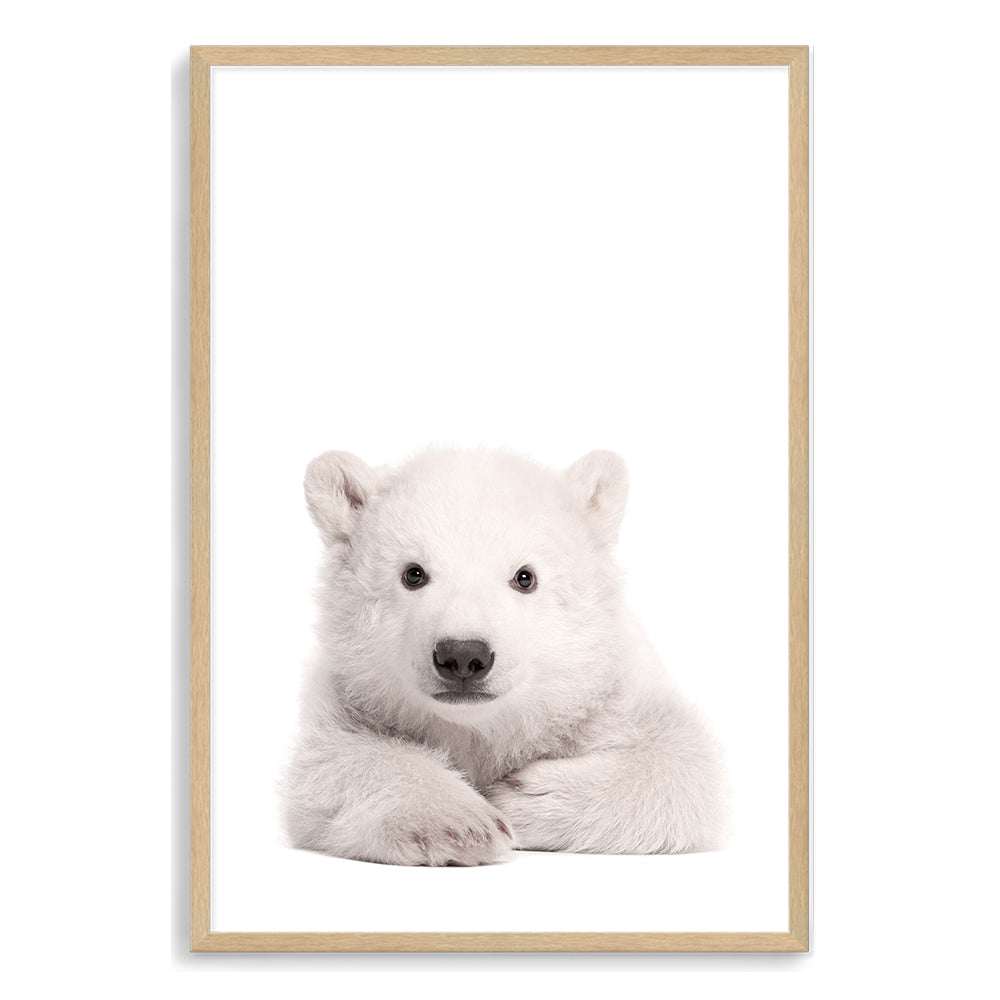 Featuring the gorgeous animal Baby Polar Bear photo art print, available in an unframed poster print, stretched canvas or with a timber, white or black frame.