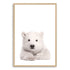 Featuring the gorgeous animal Baby Polar Bear photo art print, available in an unframed poster print, stretched canvas or with a timber, white or black frame.