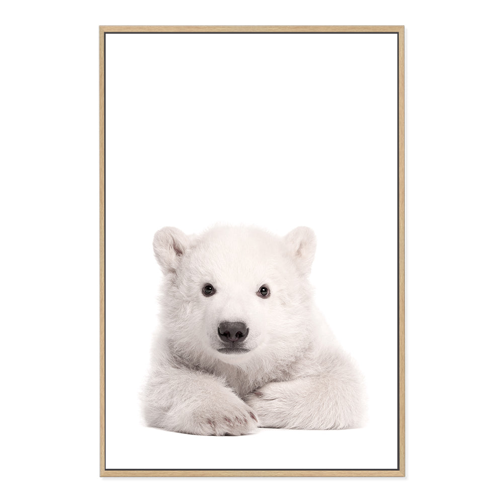 An animal Baby Polar Bear photo art print, available in an unframed poster print, stretched canvas or with a timber, white or black frame.