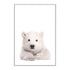 For your kids room, featuring the animal Baby Polar Bear photo art print, available in an unframed poster print, stretched canvas or with a timber, white or black frame.