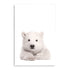 Featuring the animal Baby Polar Bear photo art print, available in an unframed poster print, stretched canvas or with a timber, white and black frame.