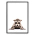 Featuring the adorable animal Baby Racoon photo art print, available in an unframed poster print, stretched canvas or with a timber, white or black frame.