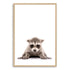 Featuring the gorgeous animal Baby Racoon photo art print, available in an unframed poster print, stretched canvas or with a timber, white or black frame.