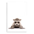 Featuring the animal Baby Racoon photo art print, available in an unframed poster print, stretched canvas or with a timber, white or black frame, for your kids room.