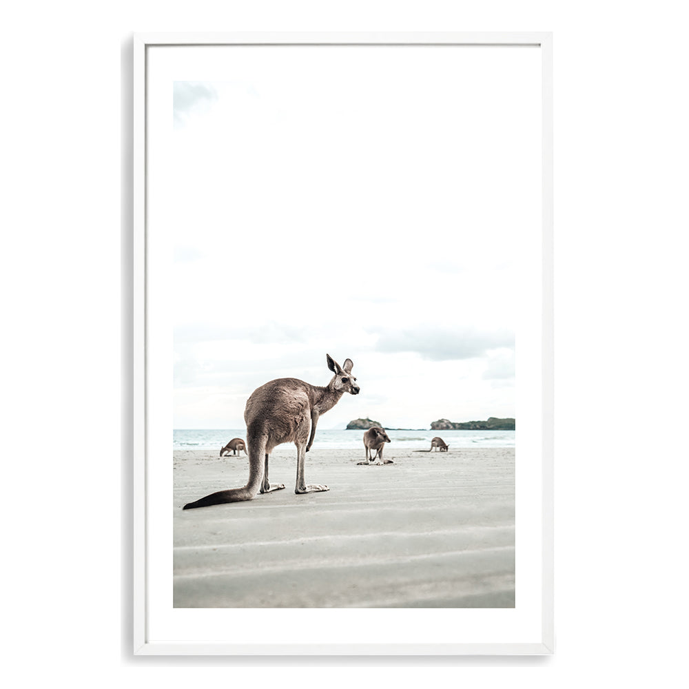 Beach side Kangaroos Wall Art Photograph Print or Canvas White Framed or Unframed by Beautiful Home Decor