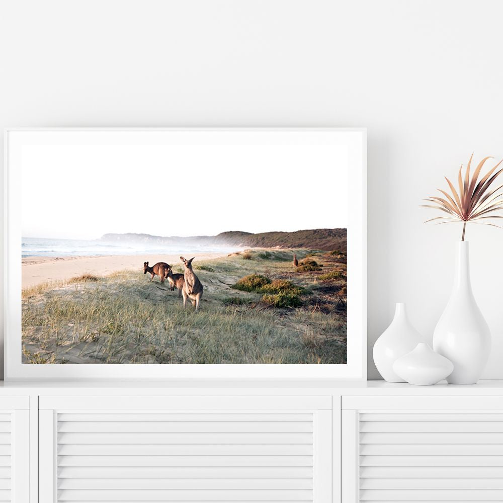 Beachside Kangaroos Wall Art Photograph Print or Canvas Framed or Unframed by a TV Unit by Beautiful Home Decor