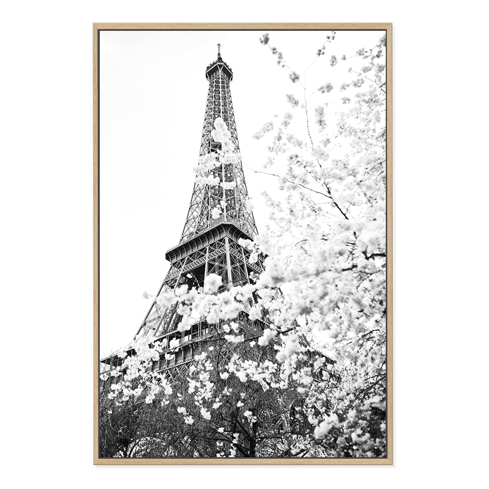 Black and White Eiffel Tower in Spring Wall Art Photograph Print or Canvas Framed Timber or Unframed by Beautiful Home Decor