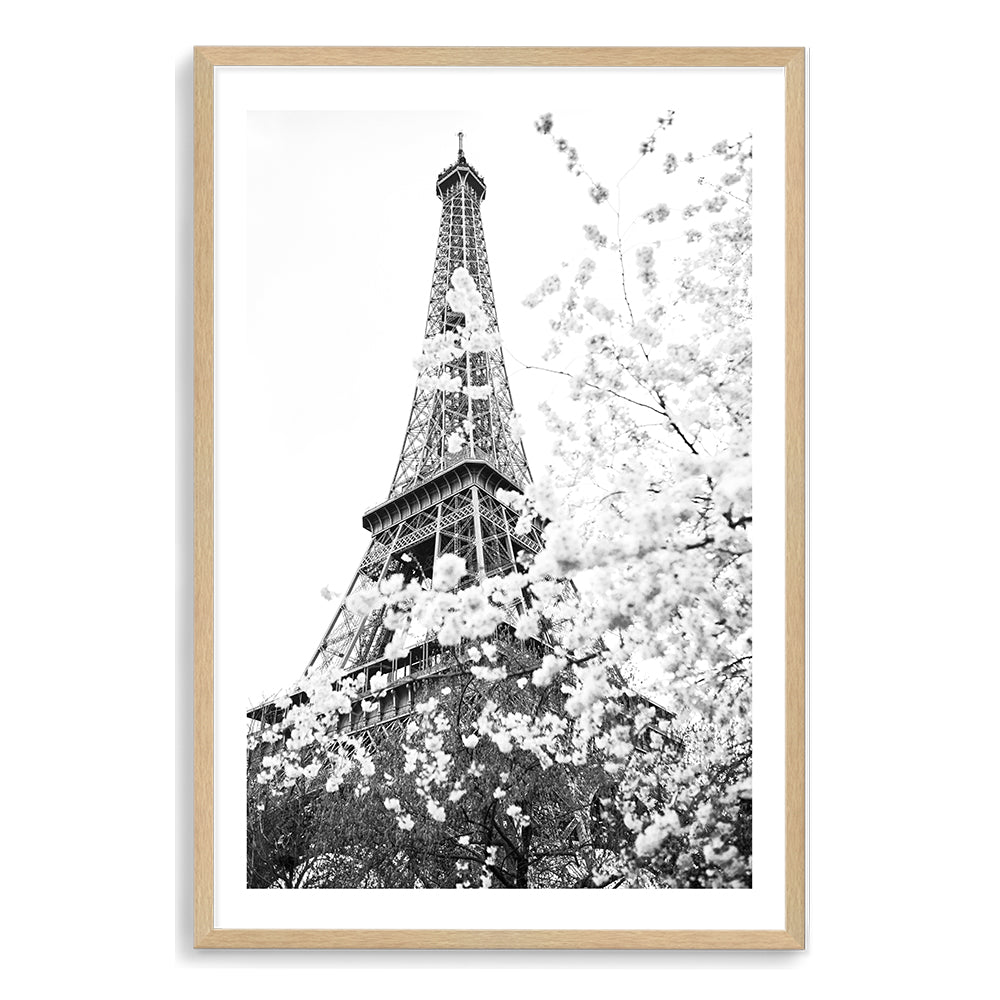 Black and White Eiffel Tower in Spring Wall Art Photograph Print or Canvas Timber Framed or Unframed by Beautiful Home Decor