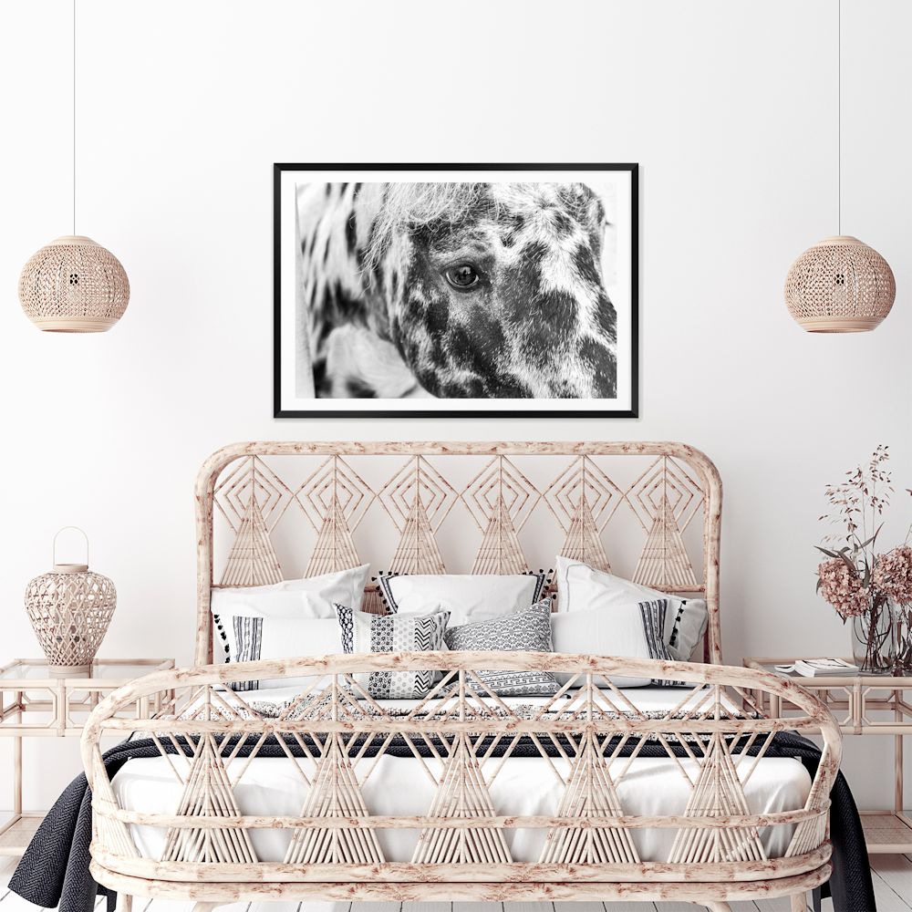 Black and White Speckled Horse Wall Art Photograph Print or Canvas Framed or Unframed Bedroom Beautiful Home Decor