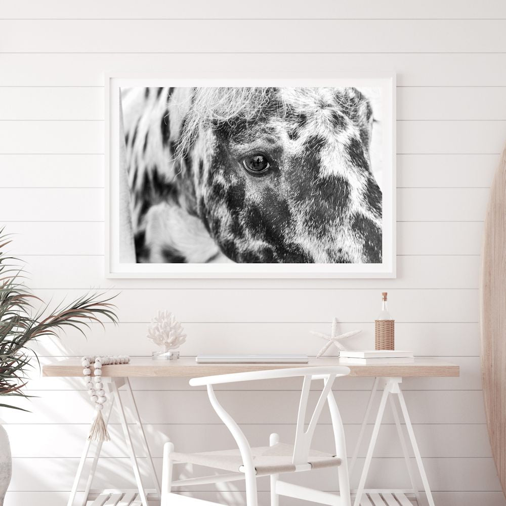 Black and White Speckled Horse Wall Art Photograph Print or Canvas Framed or Unframed for a Dining Room Wall by Beautiful Home Decor