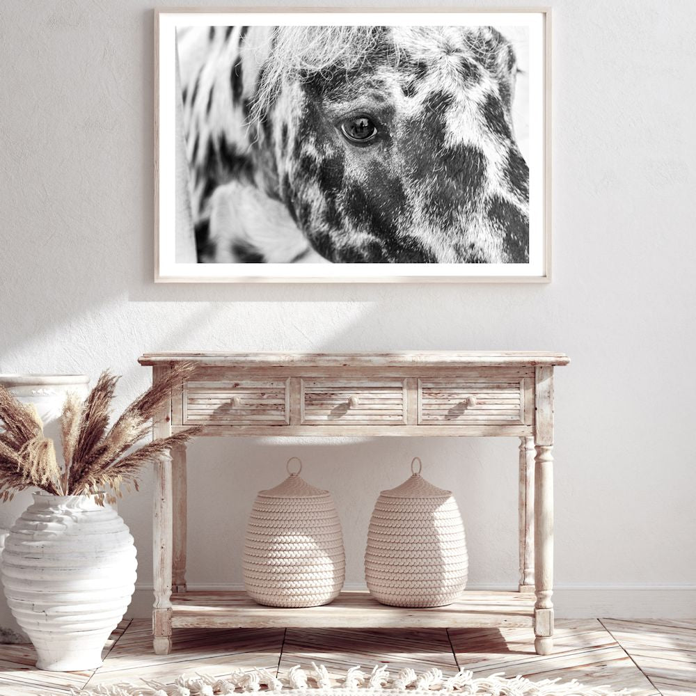 Black and White Speckled Horse Wall Art Photograph Print or Canvas Framed or Unframed in a Hallway by Beautiful Home Decor