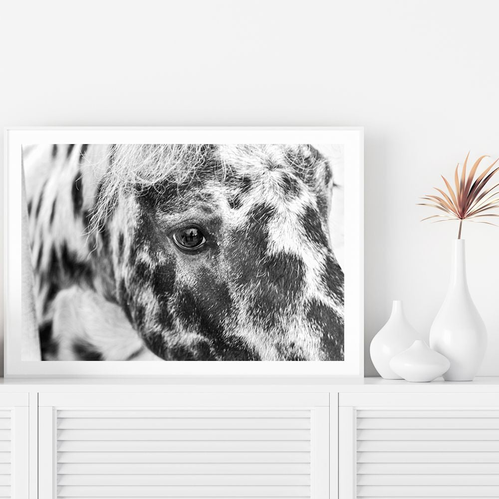 Black and White Speckled Horse Wall Art Photograph Print or Canvas Framed or Unframed by a TV Unit by Beautiful Home Decor