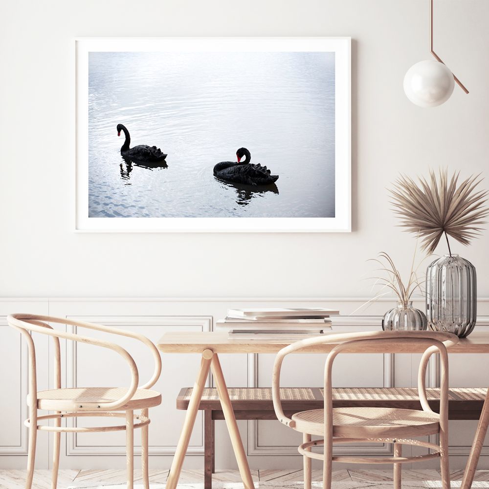 Photographed in Queensland, this stunning wall art print features two black swans gliding on a lake, available in an unframed poster print, stretched canvas or with a timber, white or black frame.