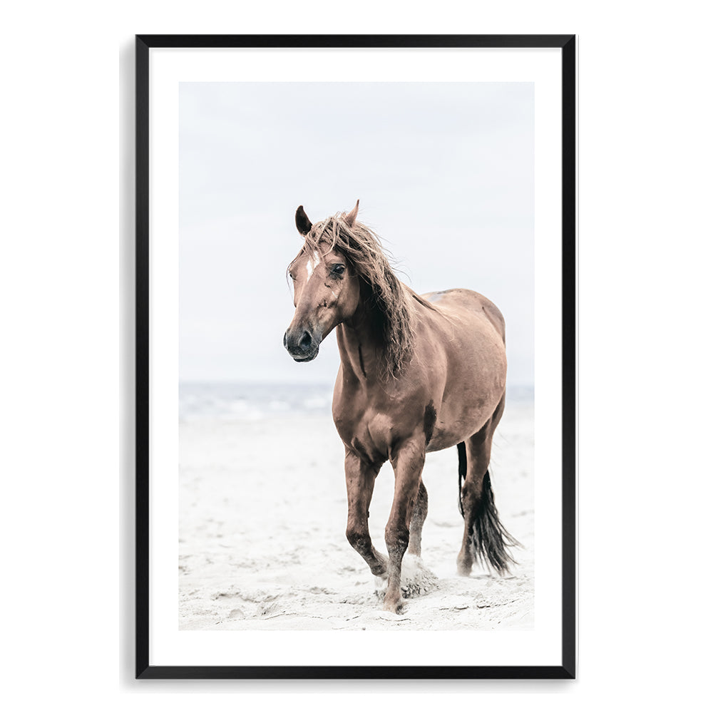 Brown Horse on Beach Wall Art Photograph Print or Canvas Black Framed or Unframed by Beautiful Home Decor