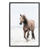 Brown Horse on Beach Wall Art Photograph Print or Canvas Framed Black or Unframed by Beautiful Home Decor