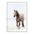 Brown Horse on Beach Wall Art Photograph Print or Canvas Framed White or Unframed by Beautiful Home Decor