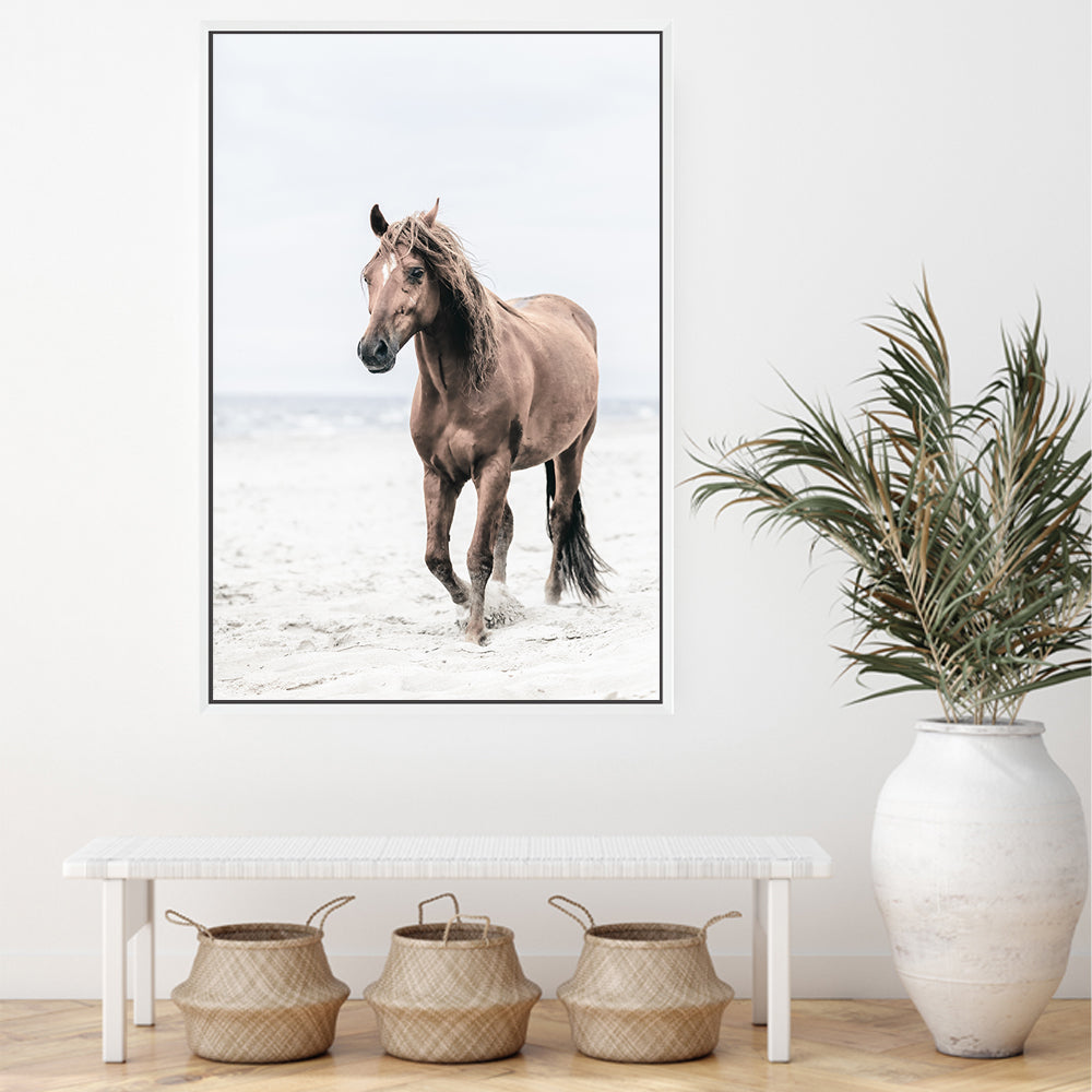 Brown Horse on Beach Wall Art Photograph Print or Canvas Framed or Unframed in a Hallway by Beautiful Home Decor