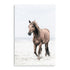 Brown Horse on Beach Wall Art Photograph Print or Canvas Not Framed or Unframed by Beautiful Home Decor