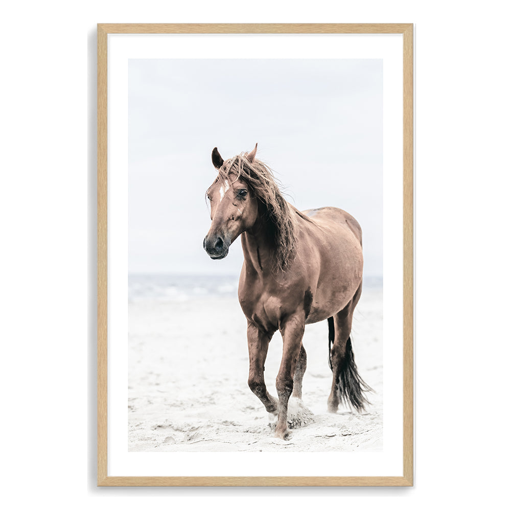 Brown Horse on Beach Wall Art Photograph Print or Canvas Timber Framed or Unframed by Beautiful Home Decor