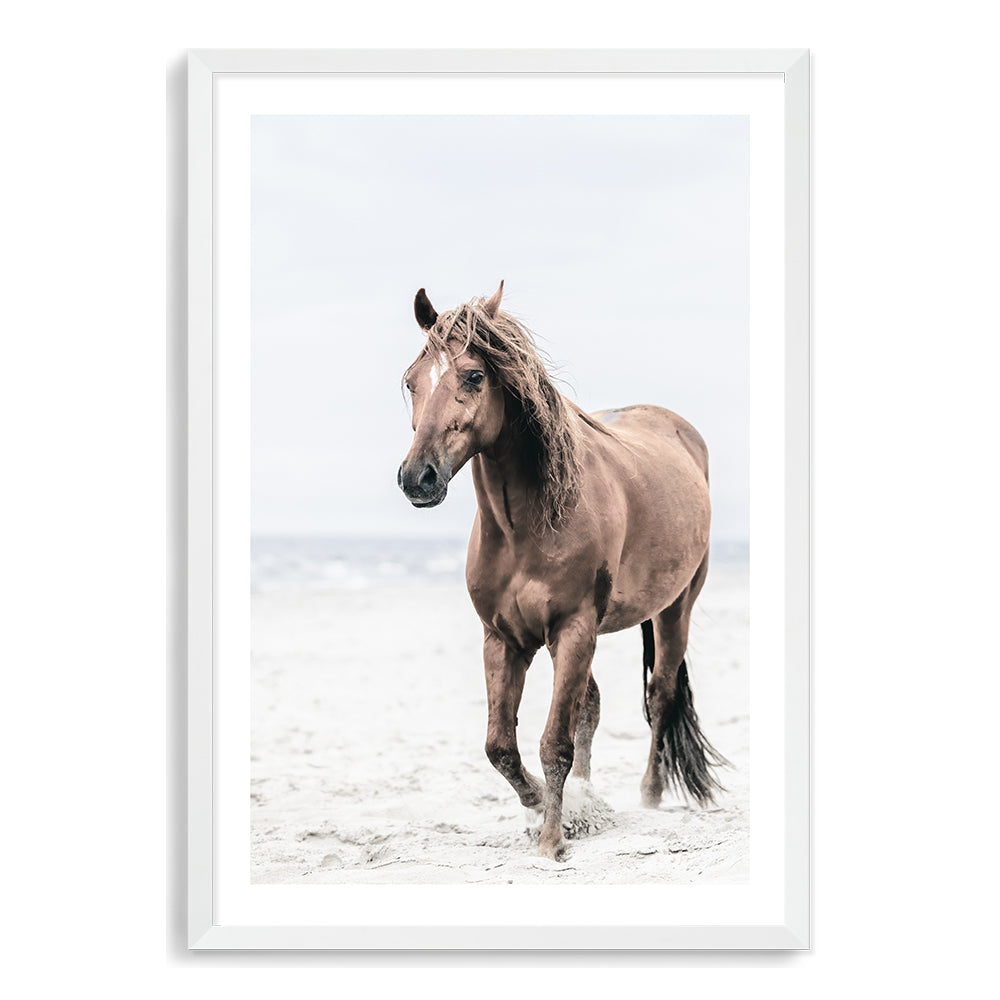 Brown Horse on Beach Wall Art Photograph Print or Canvas White Framed or Unframed by Beautiful Home Decor