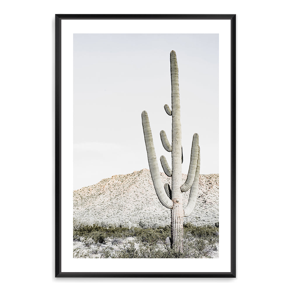 Californian Desert Cactus Wall Art Photograph Print or Canvas Black Framed or Unframed by Beautiful Home Decor