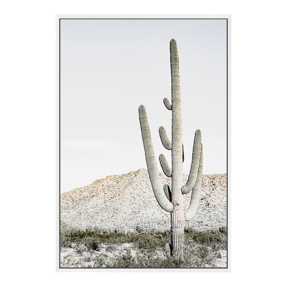 Californian Desert Cactus Wall Art Photograph Print or Canvas Framed White or Unframed by Beautiful Home Decor