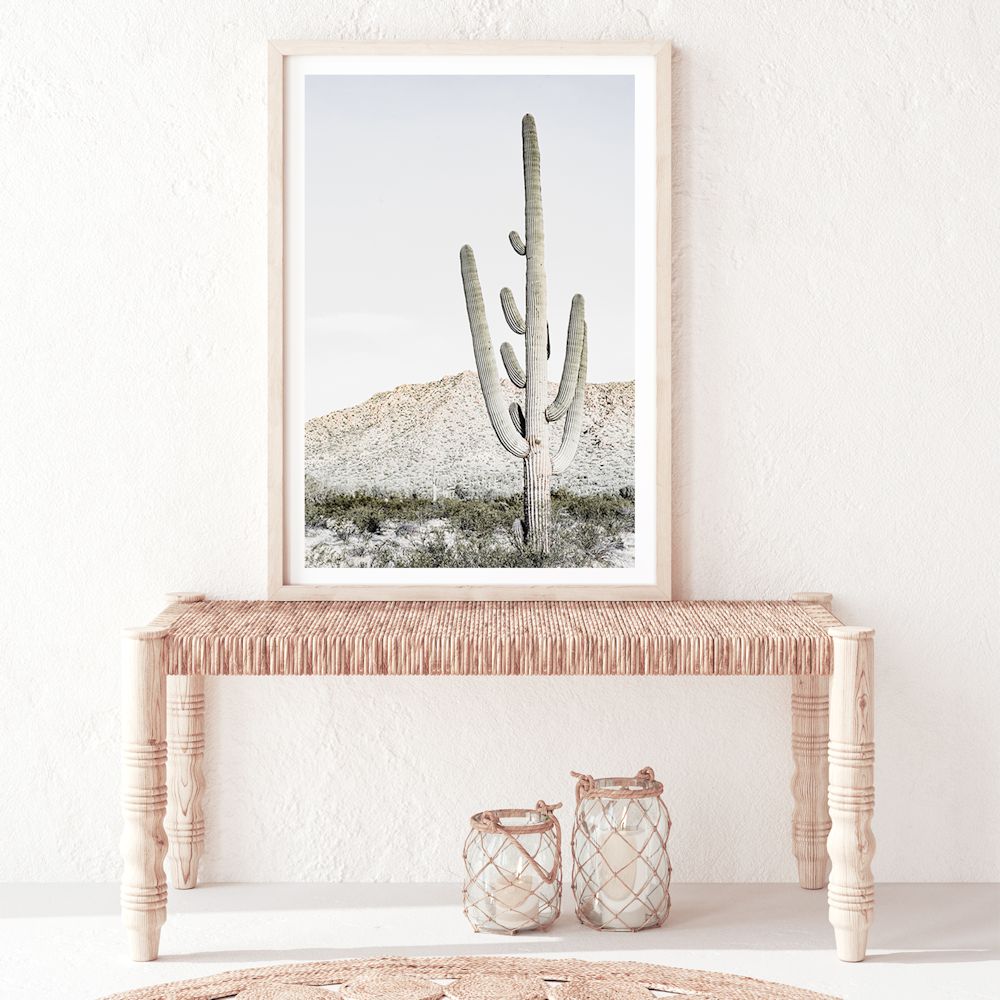 Californian Desert Cactus Wall Art Photograph Print or Canvas Framed or Unframed in a Hallway by Beautiful Home Decor