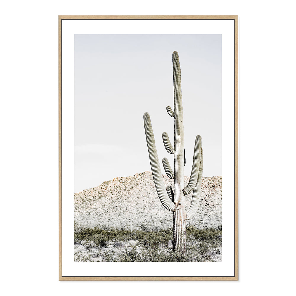 Californian Desert Cactus Wall Art Photograph Print or Canvas Timber Framed or Unframed by Beautiful Home Decor