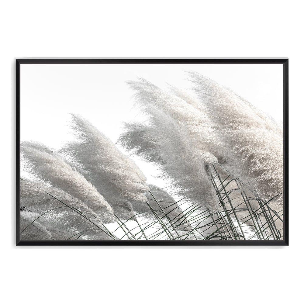 A Hamptons artwork featuring pampas grass in neutral tones available in canvas or photo prints.