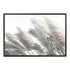 A Hamptons artwork featuring pampas grass in neutral tones available in canvas or photo prints.