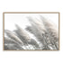 Featuring a coastal wall art print of pampas grass in neutral tones available unframed or framed in timber, black or white frames. 
