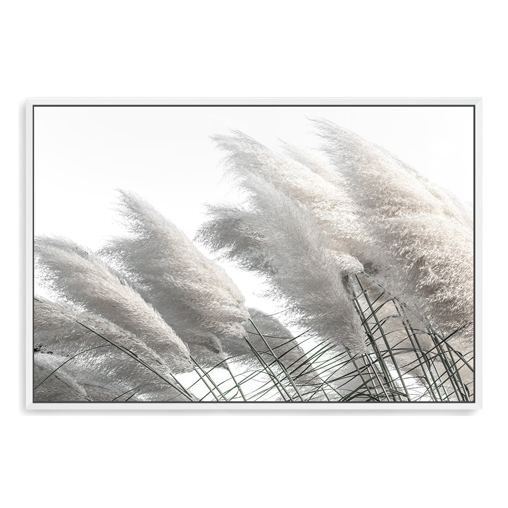 Featuring a  Hamptons artwork of pampas grass in neutral tones available framed or unframed in timber, black or white frames.