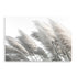 A coastal wall art print of pampas grass in neutral tones available framed or unframed.