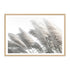 Bring the calm breeze of the beach into your home with this coastal wall art print of pampas grass. Perfect for your home styling with neutral tones. 