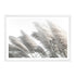 A Hamptons artwork of pampas grass in neutral tones available framed or unframed.
