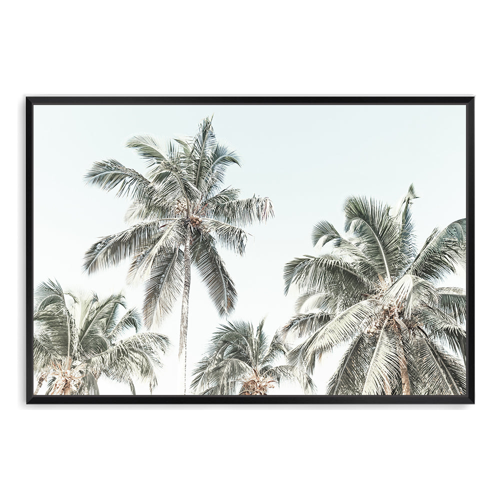 A coastal wall art print of coconut palm trees at the beach available framed or unframed.