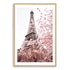 Eiffel Tower in Spring Wall Art Photograph Print or Canvas Timber Framed or Unframed Beautiful Home Decor