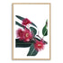 A floral artwork featuring beautiful red wild flowers A and green eucalyptus leaves, available framed or unframed.